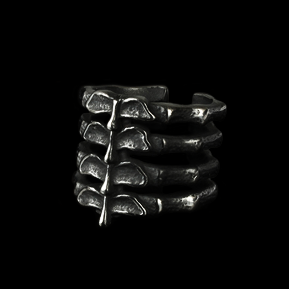 Spinal Cord Ring - GalacticElements